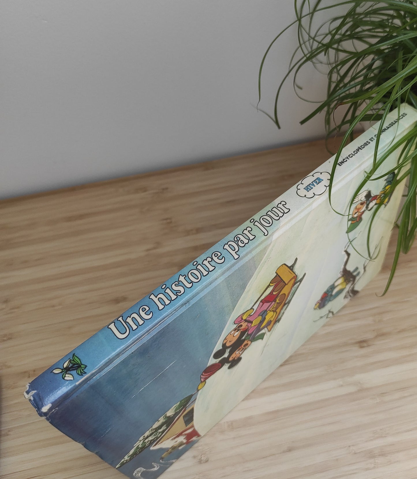 Livre 1 histoire par jour Disney Saison Hiver