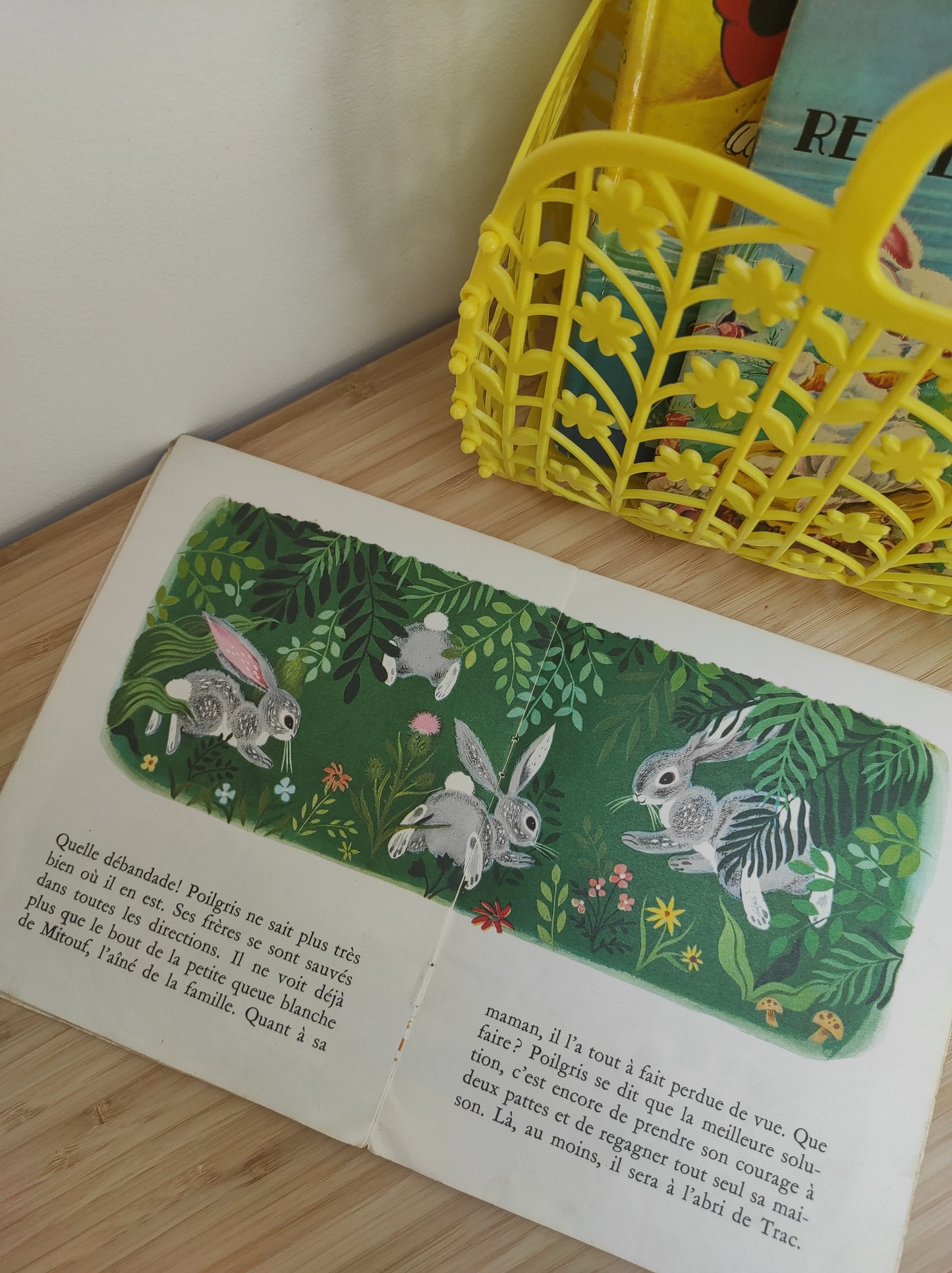 Lot de 4 petits livres vintage