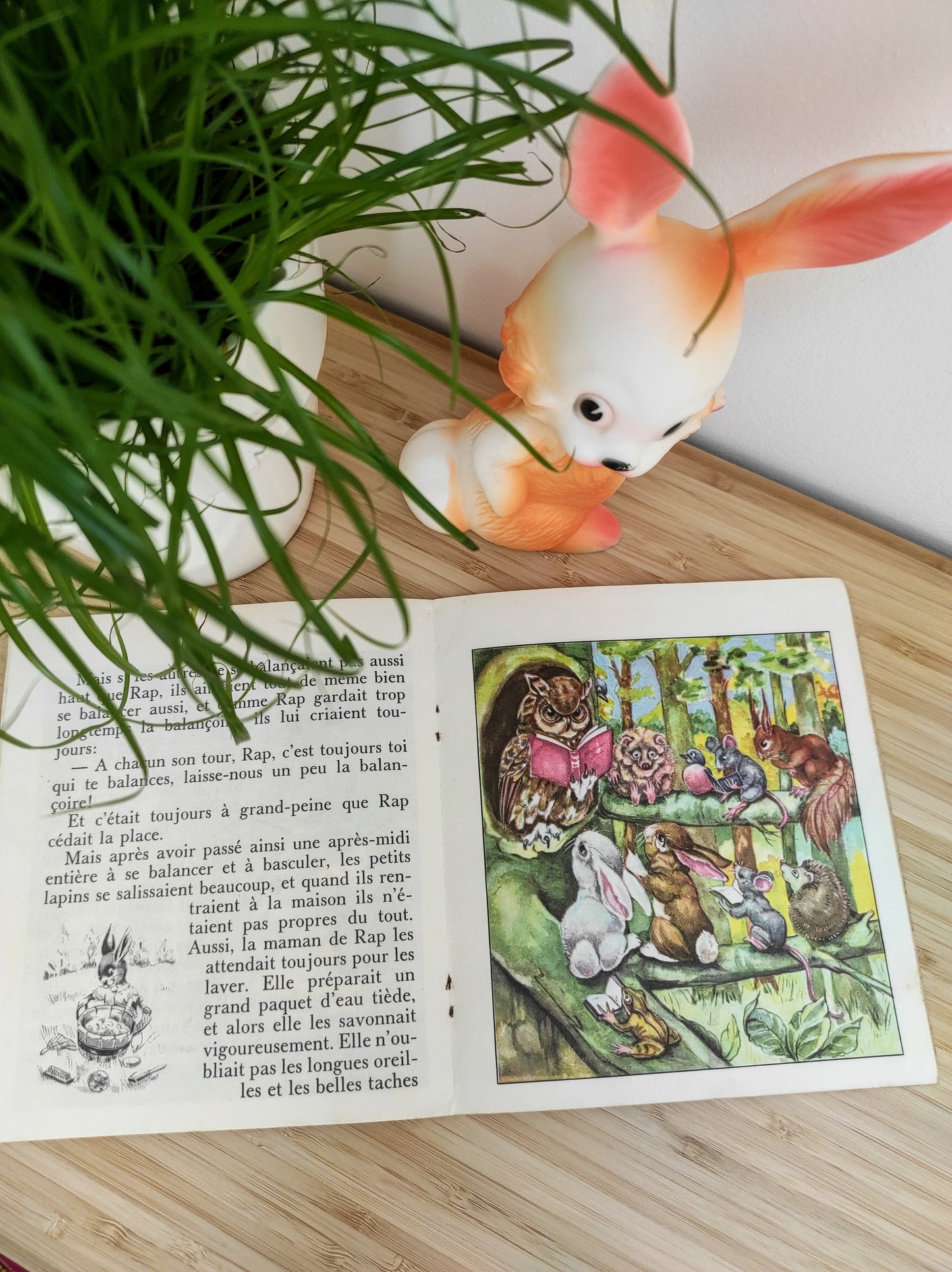 Petit livre Rongeotin reprend sa liberté