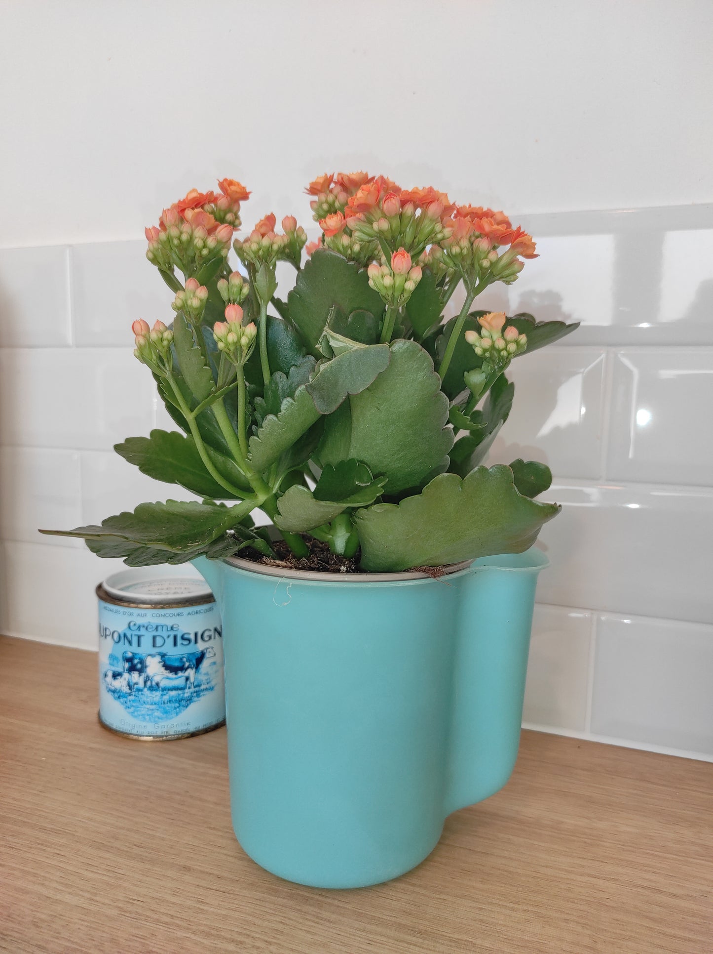 Pichet/broc Tupperware années 60