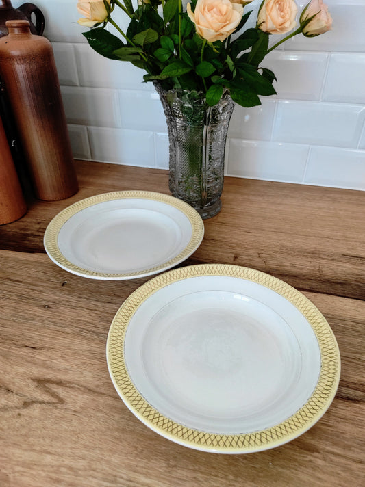 Set de 2 assiettes creuses en céramique Ceranord St Amand. Ce joli set de 2 assiettes creuses en céramique Ceranord St Amand semi vitrifié modèle Monaco de couleur jaune soleil et aux motifs art déco dorés aiguillera vos soupes cet hiver ! Made in France. vintage