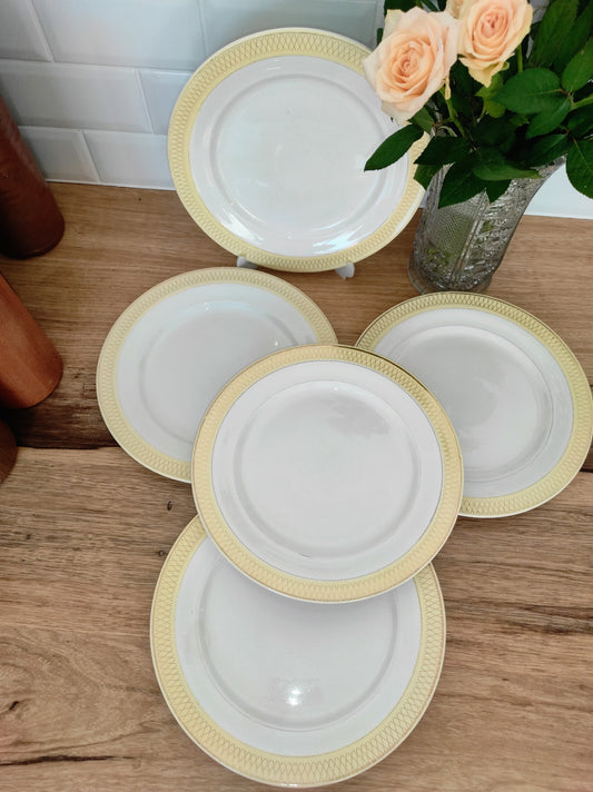 Set de 5 anciennes assiettes plates en céramique Ceranord St Amand. Ce joli set de 5 assiettes plates en céramique Ceranord St Amand semi vitrifié modèle Monaco de couleur jaune soleil et aux motifs art déco dorés aiguillera votre table ! Made in France. Vintage