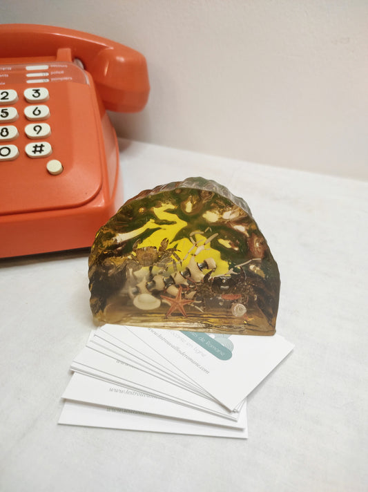 Presse papier vintage en résine avec inclusion de crabes, coraux et coquillages. Très tendance dans les années 60 et 70, cette ravissante résine avec inclusions de bord de mer vintage complètera votre cabinet de curiosité ou trouvera sa place dans votre intérieur pour une note vintage. Elle contient des inclusions de coquillages, de crabes, de coraux, et étoile de mer. Objet vintage