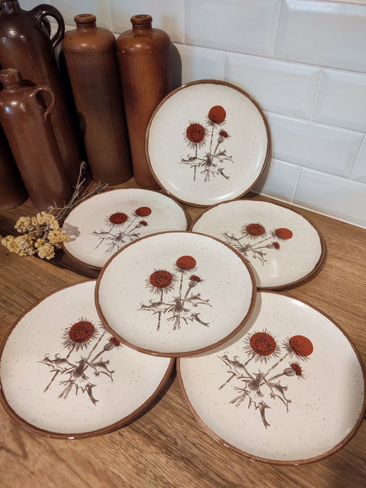Set de 6 anciennes assiettes plates en céramique motifs chardons ADP FRANCE. Ce joli set de 6 assiettes plates des années 70 en céramique de l'entreprise ADP FRANCE aux motifs de chardons ajoutera une touche vintage votre table! Made in France, décor inaltérable. Assiettes vintage