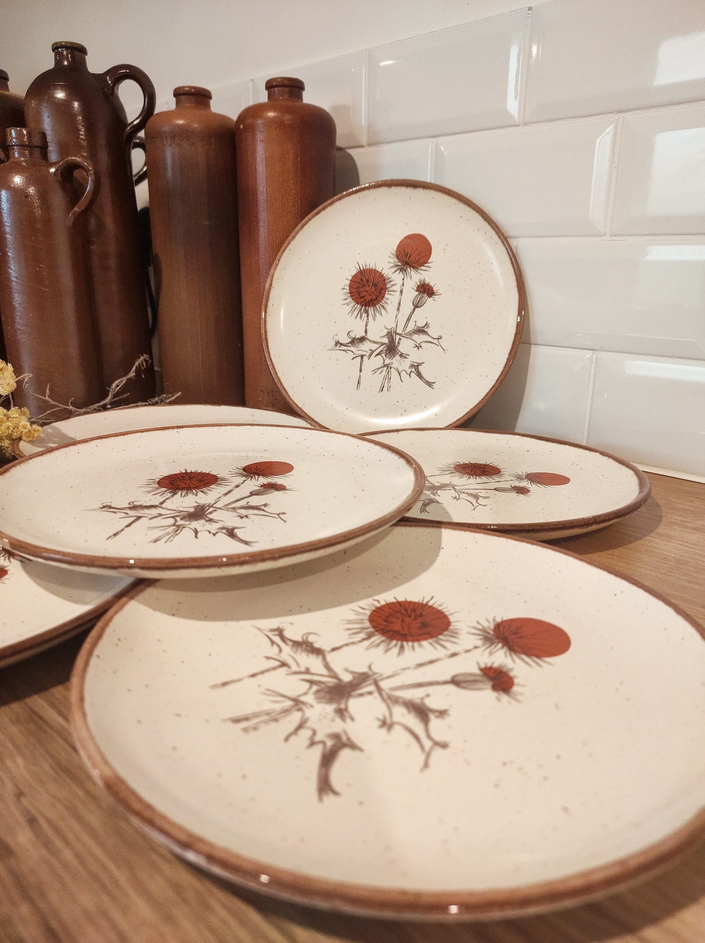 Set de 6 anciennes assiettes plates en céramique motifs chardons ADP FRANCE. Ce joli set de 6 assiettes plates des années 70 en céramique de l'entreprise ADP FRANCE aux motifs de chardons ajoutera une touche vintage votre table! Made in France, décor inaltérable. Assiettes vintage