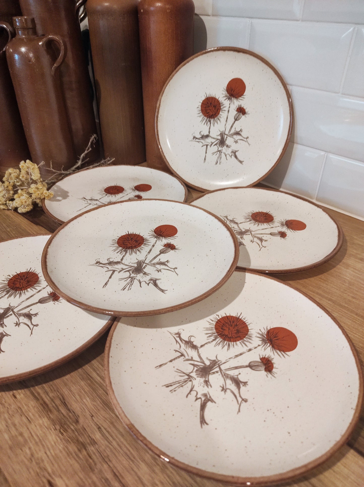 Set de 6 anciennes assiettes plates en céramique motifs chardons ADP FRANCE. Ce joli set de 6 assiettes plates des années 70 en céramique de l'entreprise ADP FRANCE aux motifs de chardons ajoutera une touche vintage votre table! Made in France, décor inaltérable. Assiettes vintage