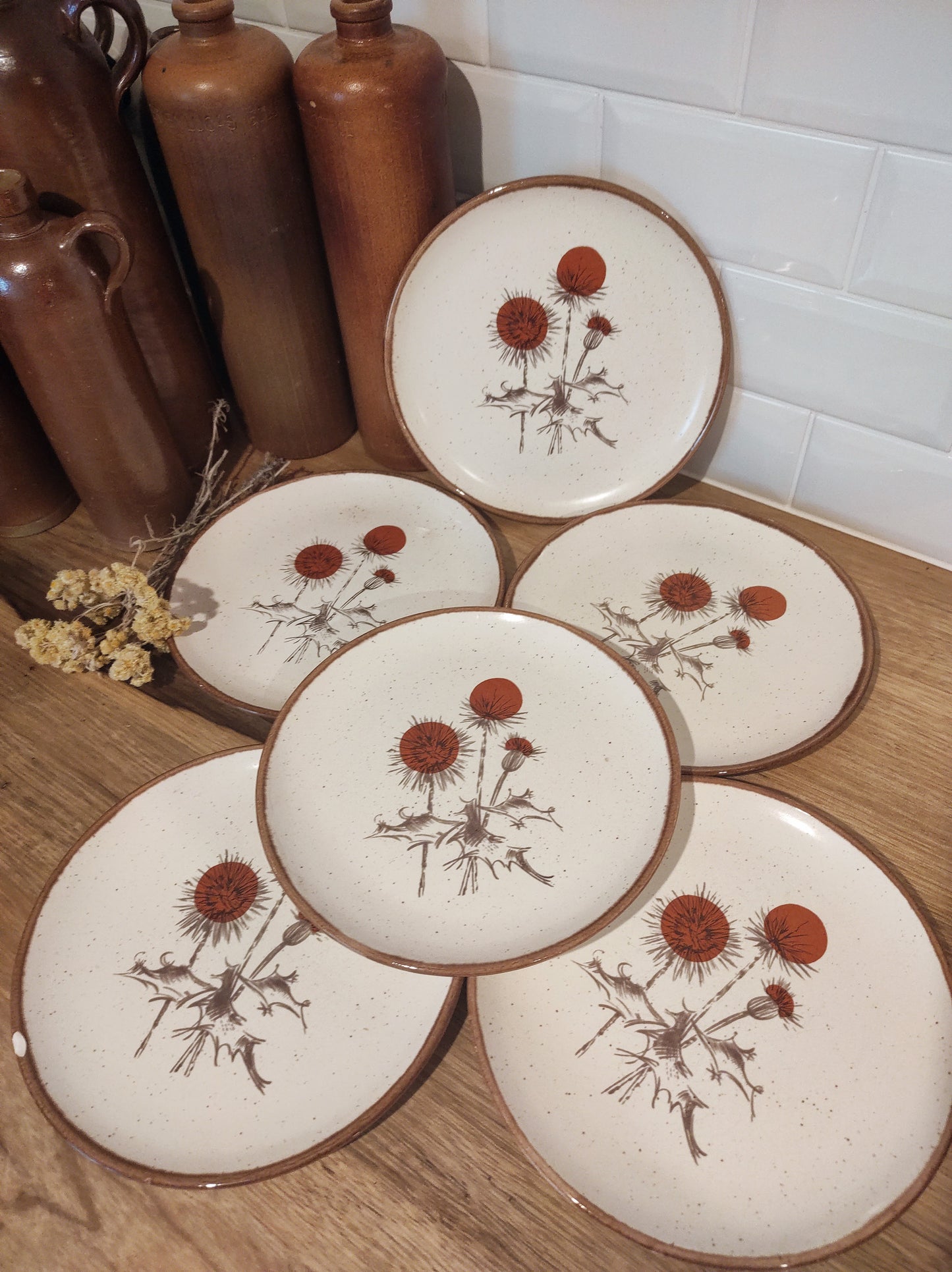 Set de 6 anciennes assiettes plates en céramique motifs chardons ADP FRANCE. Ce joli set de 6 assiettes plates des années 70 en céramique de l'entreprise ADP FRANCE aux motifs de chardons ajoutera une touche vintage votre table! Made in France, décor inaltérable. Assiettes vintage