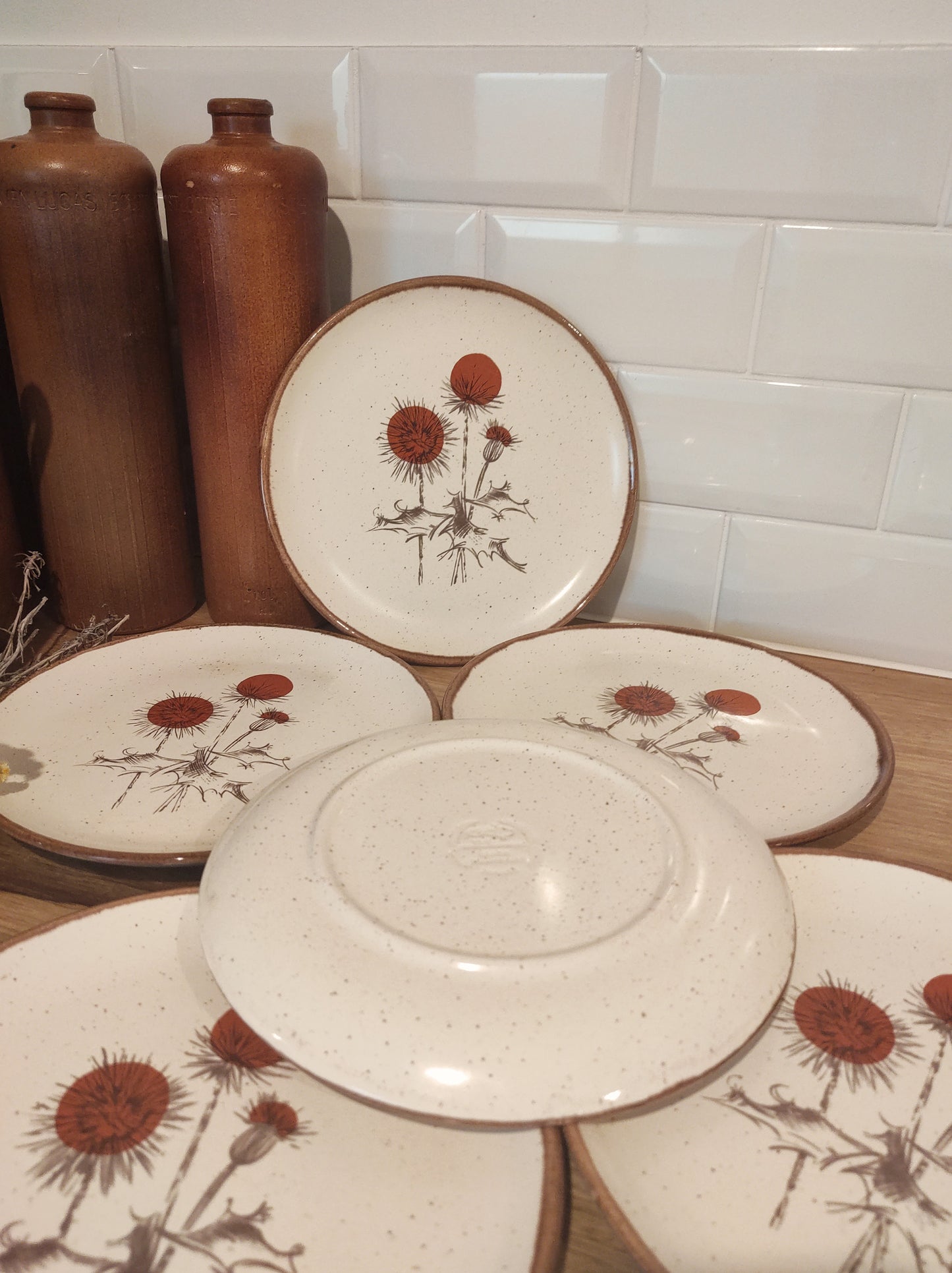 Set de 6 anciennes assiettes plates en céramique motifs chardons ADP FRANCE. Ce joli set de 6 assiettes plates des années 70 en céramique de l'entreprise ADP FRANCE aux motifs de chardons ajoutera une touche vintage votre table! Made in France, décor inaltérable. Assiettes vintage