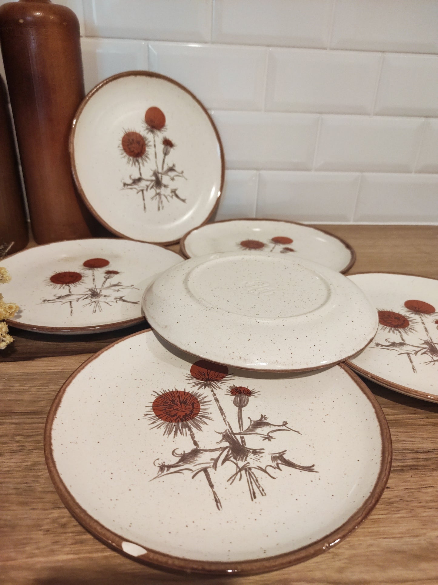 Set de 6 anciennes assiettes plates en céramique motifs chardons ADP FRANCE.