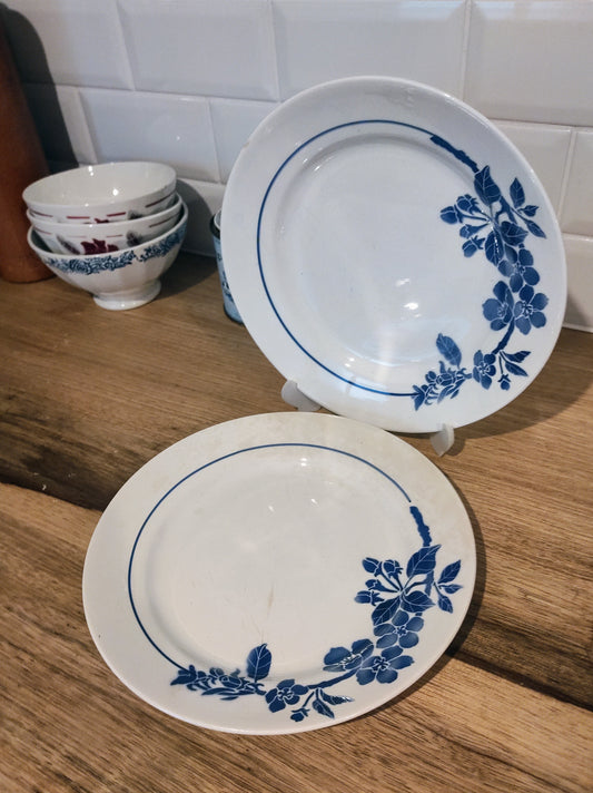 Set de 2 anciennes assiettes plates en faïence P.B ROCHECHOUART. Ce joli set de 2 assiettes plates en faïence de P.B Rochechouart modèle Opéra au motif de fleurs bleues donnera un esprit bohême à votre table et elles auront encore un bel effet associées à des couverts plus contemporains ou des verres dépareillés ! Made in France. Assiettes vintage
